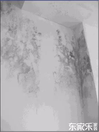 墻面發霉發黑怎么辦？墻面已經出現霉斑時怎么做？