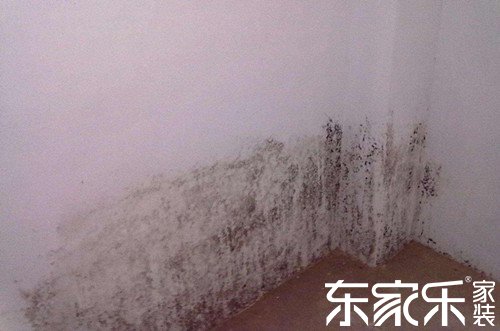 墻面發霉是什么原因導致的？